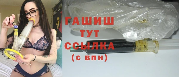 индика Горнозаводск