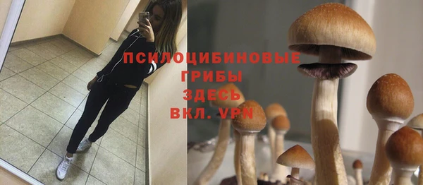 PSILOCYBIN Иноземцево